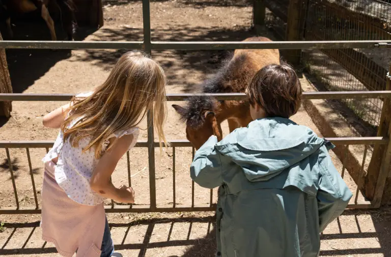 La parc animalier de Gramat abrite plus de 150 espèces d'animaux sauvages et domestiques